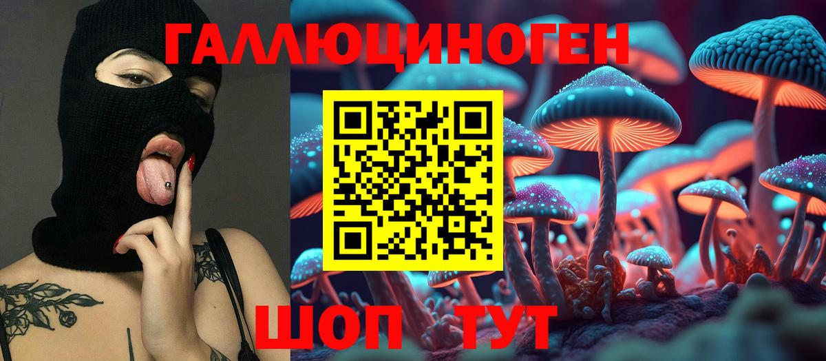 Мурино  Галлюциногенные грибы Magic Shrooms  Вход с VPN 