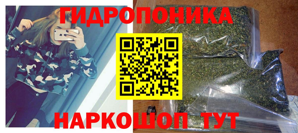 Конопля семена Мурино